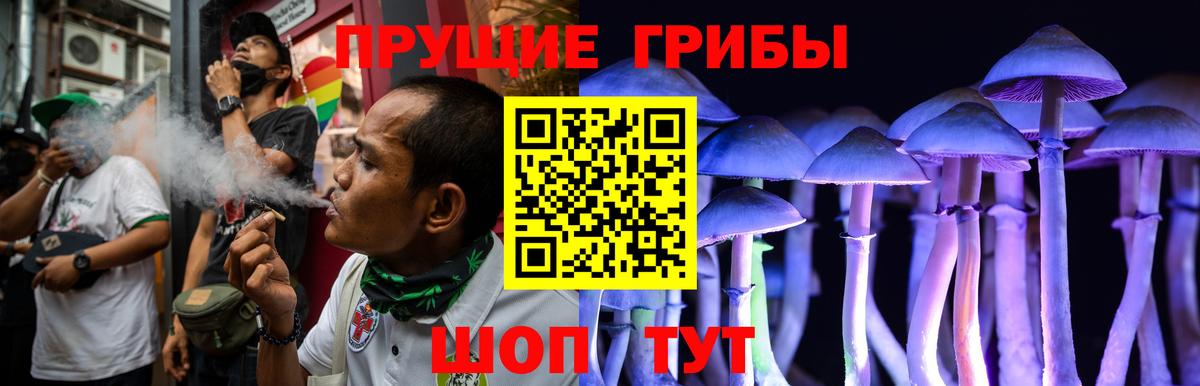 Славянск-на-Кубани  Галлюциногенные грибы Cubensis  Вход с VPN 